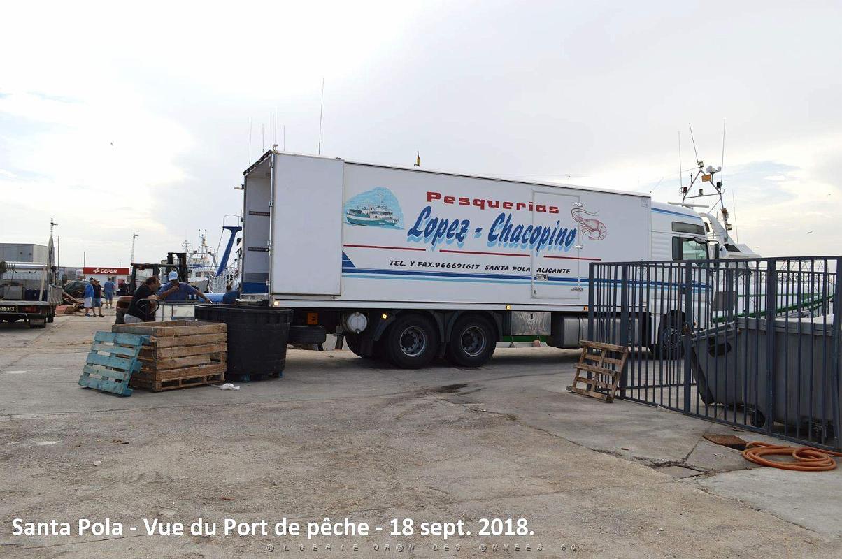 11 SANTA POLA PORT DE PECHE (85).JPG